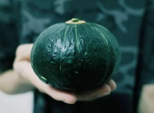 网红吃的软趴瓜是什么,软趴瓜的独特魅力与制作方法 第2张 网红吃的软趴瓜是什么,软趴瓜的独特魅力与制作方法 第2张